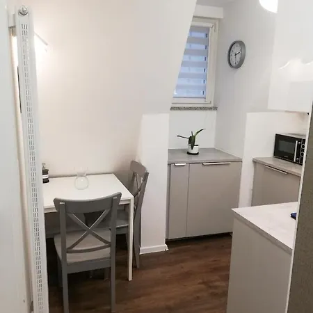 Zaulek Bialoskorniczy Vratislav